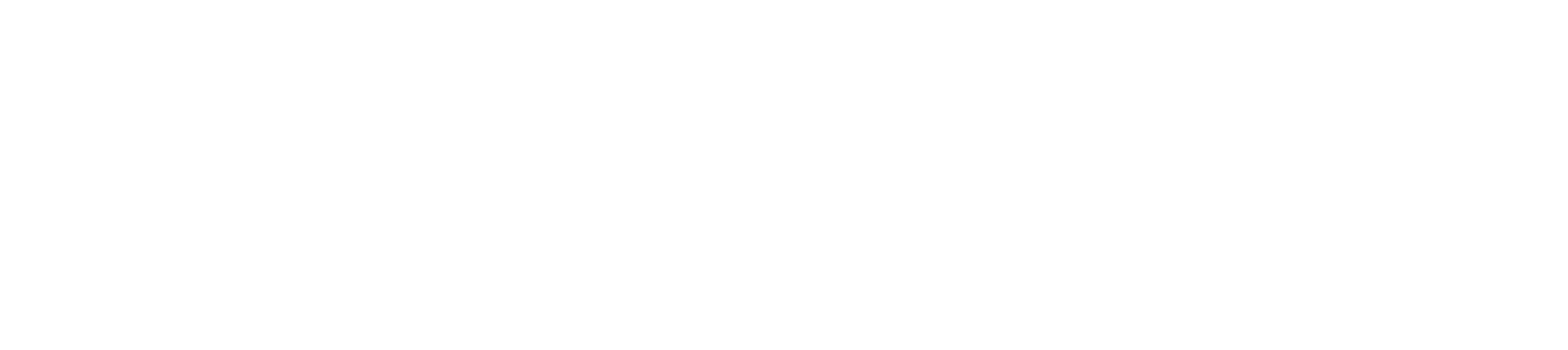 REICHENBACH INVESTMENTS SA